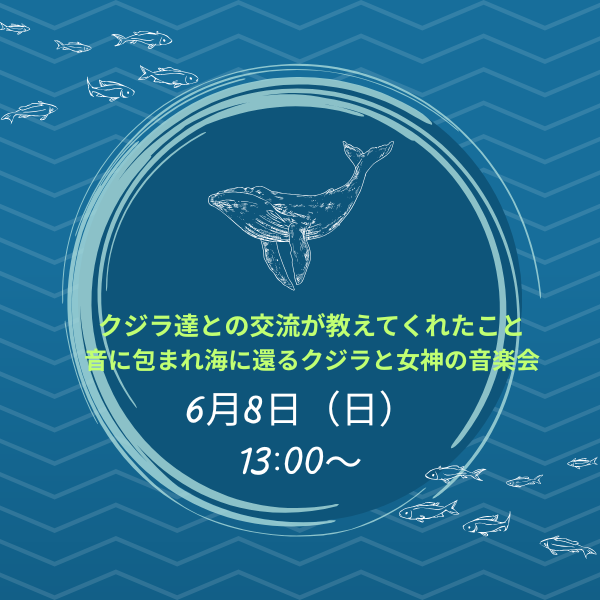 クジラ達との交流が教えてくれたこと・音に包まれ海に還るクジラと女神の音楽会