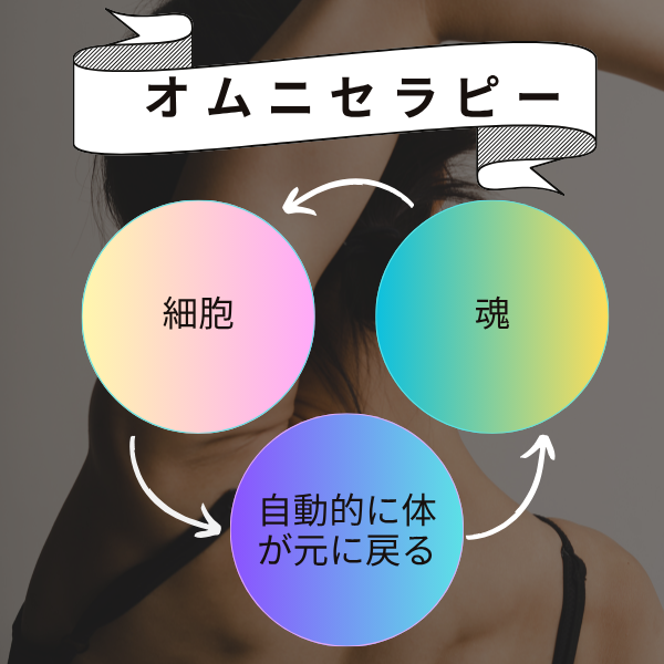 オムニセラピー　体の歪みは自動操縦で治す